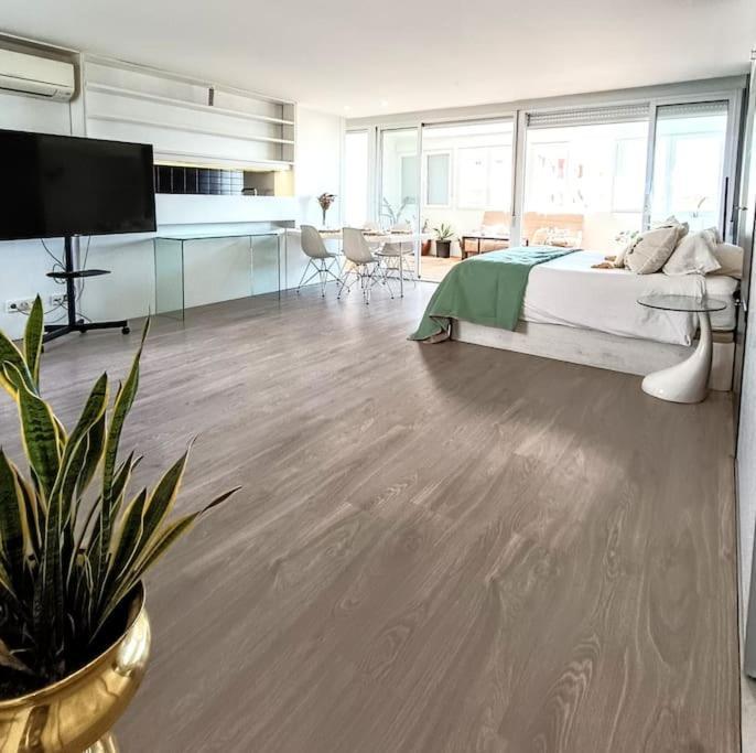 Spacious Studio By The University San Vicente Raspeig Екстериор снимка