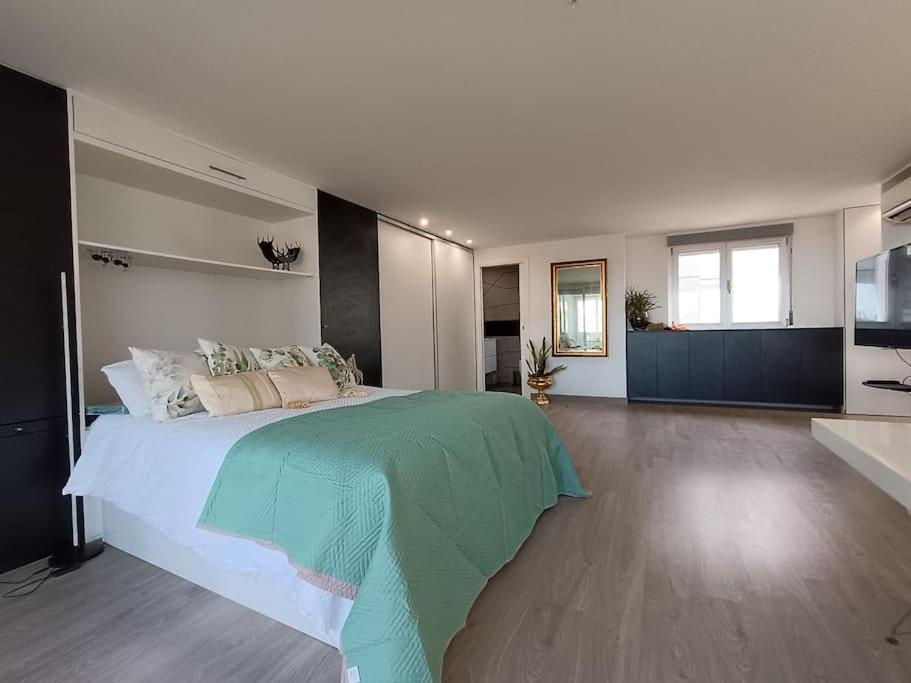 Spacious Studio By The University San Vicente Raspeig Екстериор снимка